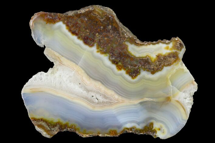 Polished Calandria Agate Section - Mexico #152650